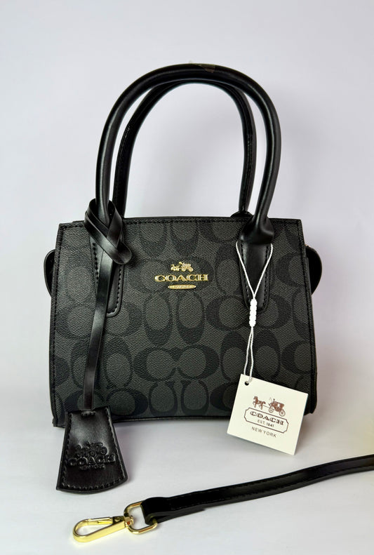 Coach Carryall